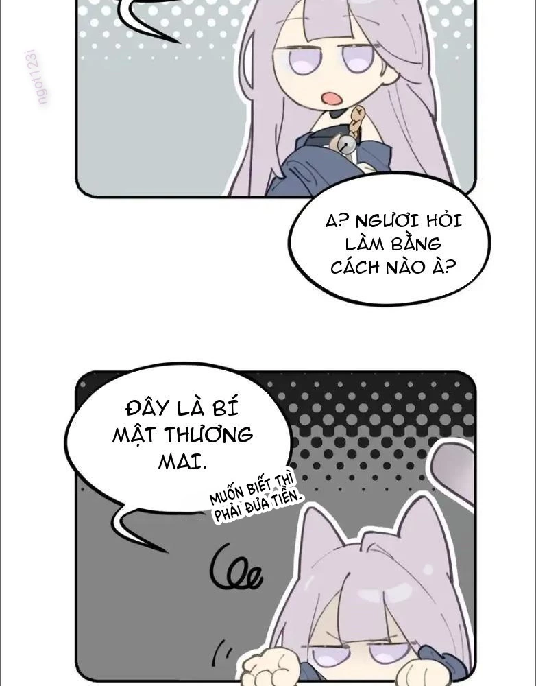 Giết Chết Nam Chính Sau Đó Trở Thành Nữ Ma Đầu Chapter 17 - Trang 2