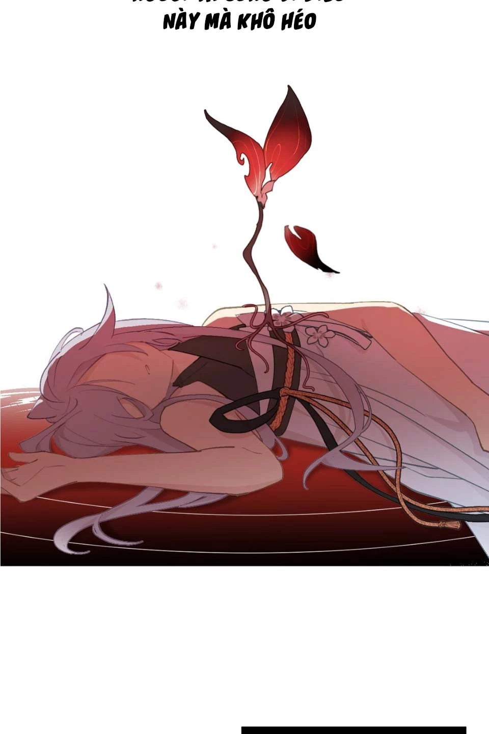 Giết Chết Nam Chính Sau Đó Trở Thành Nữ Ma Đầu Chapter 5 - Trang 2