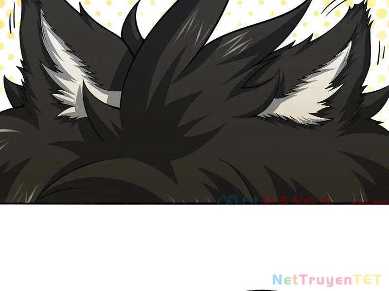 Giết Ta Thêm Vài Lần Nữa, Ta Liền Trở Thành Vô Địch! Chapter 49 - Trang 2