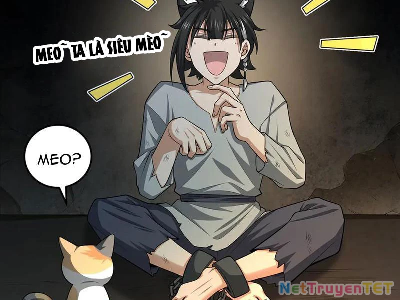 Giết Ta Thêm Vài Lần Nữa, Ta Liền Trở Thành Vô Địch! Chapter 49 - Trang 2