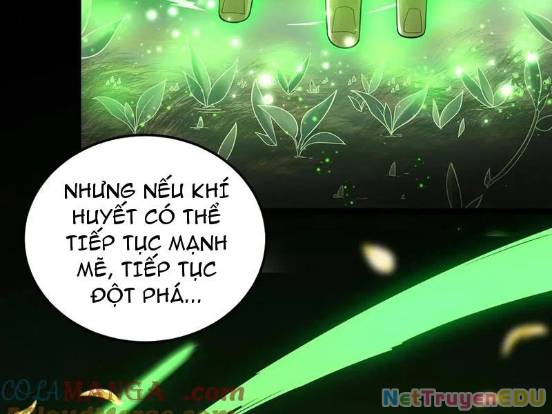 Giết Ta Thêm Vài Lần Nữa, Ta Liền Trở Thành Vô Địch! Chapter 51 - Trang 2