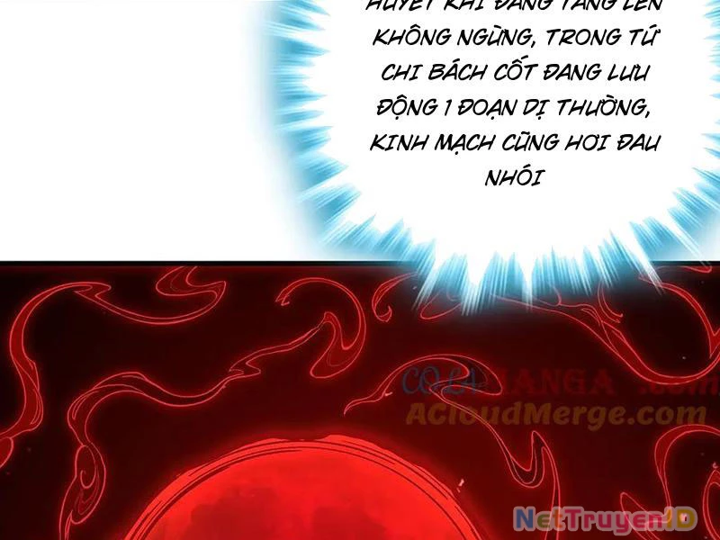 Giết Ta Thêm Vài Lần Nữa, Ta Liền Trở Thành Vô Địch! Chapter 57 - Trang 2