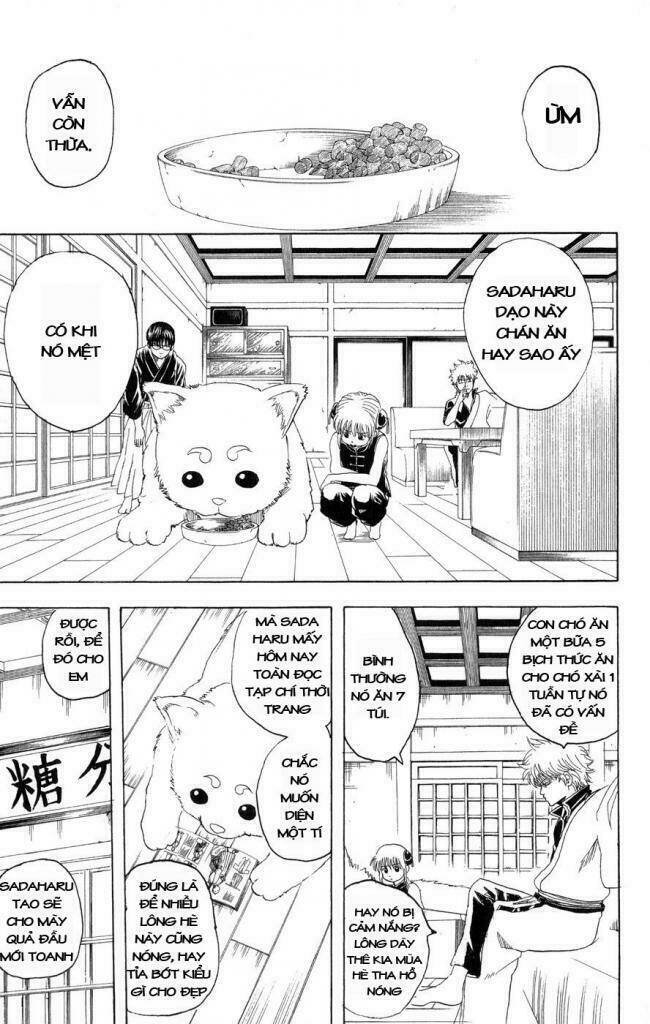 Gintama – Linh Hồn Bạc Chapter 126 - Trang 2