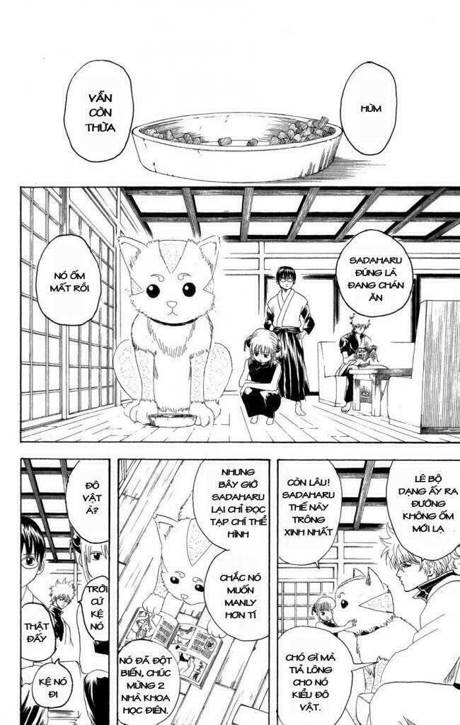 Gintama – Linh Hồn Bạc Chapter 126 - Trang 2