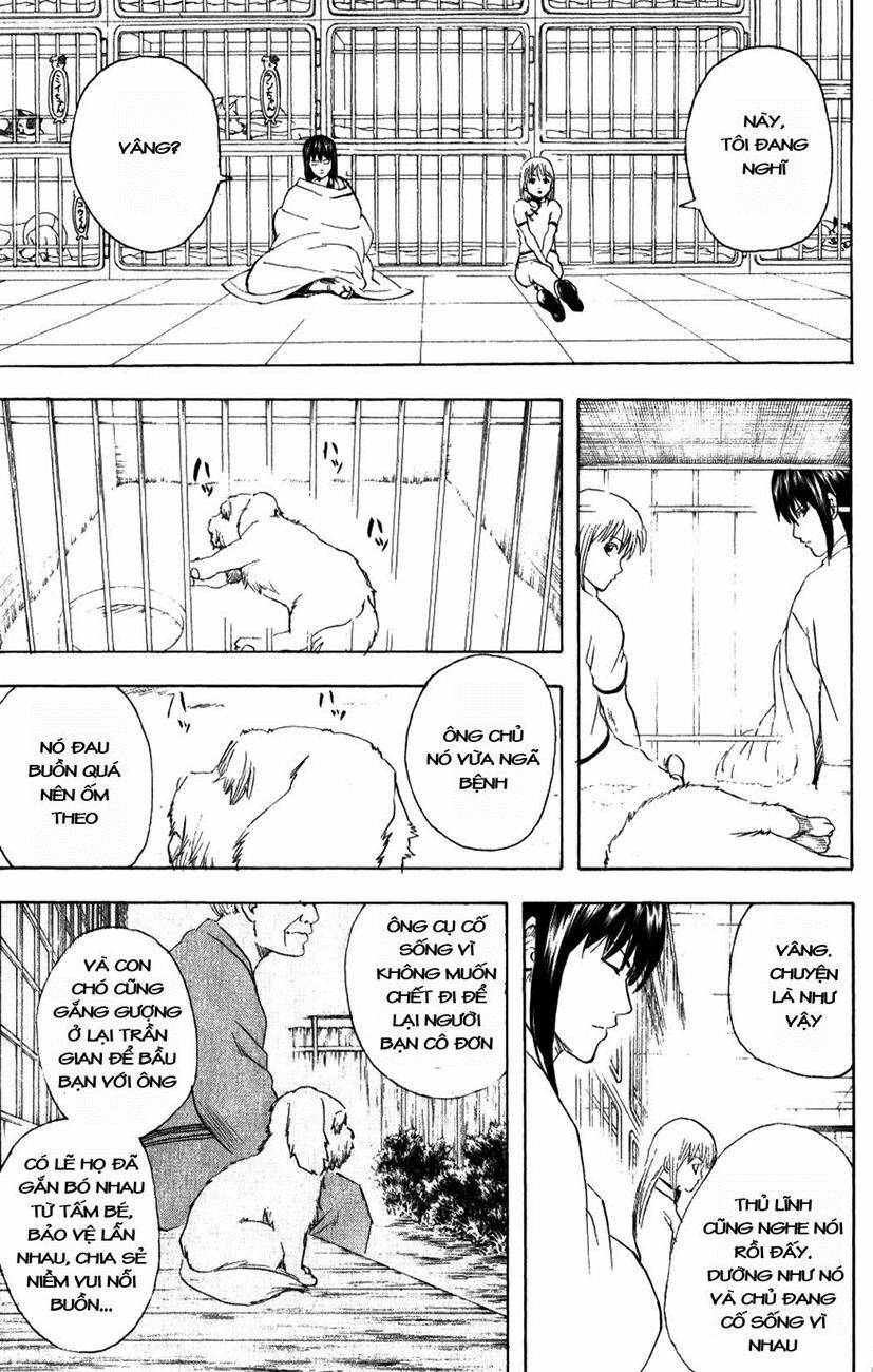 Gintama – Linh Hồn Bạc Chapter 207 - Trang 2