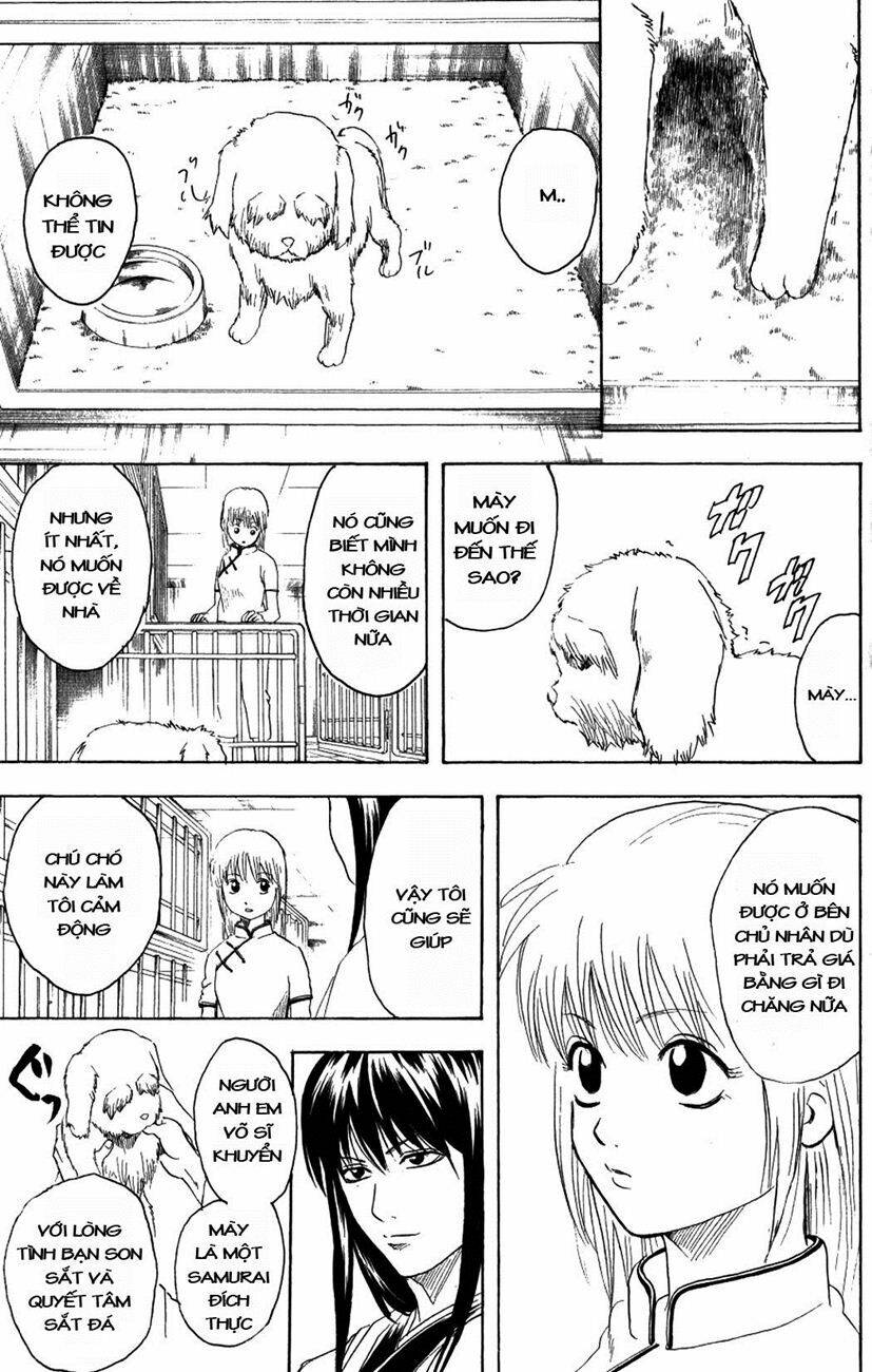 Gintama – Linh Hồn Bạc Chapter 207 - Trang 2
