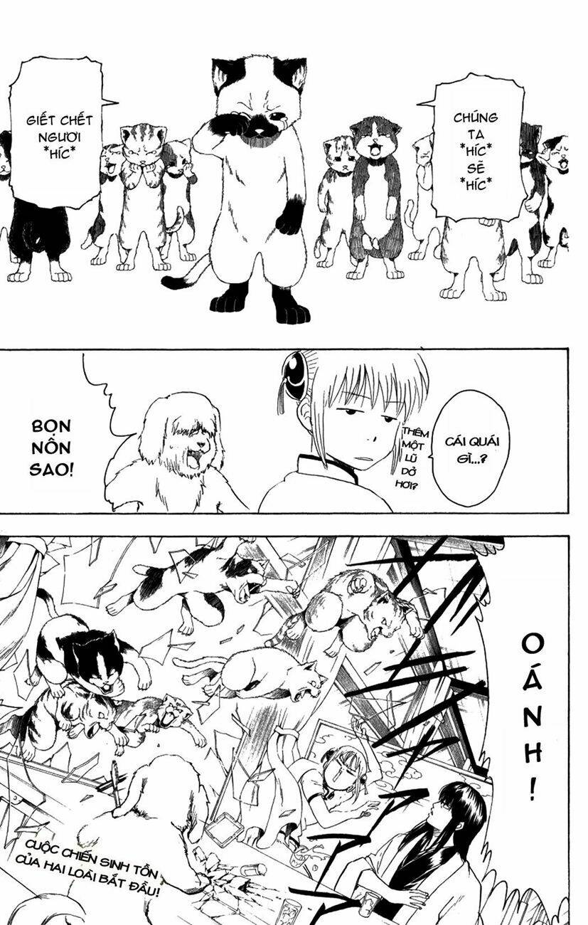 Gintama – Linh Hồn Bạc Chapter 207 - Trang 2