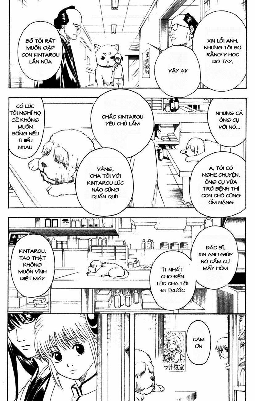 Gintama – Linh Hồn Bạc Chapter 207 - Trang 2