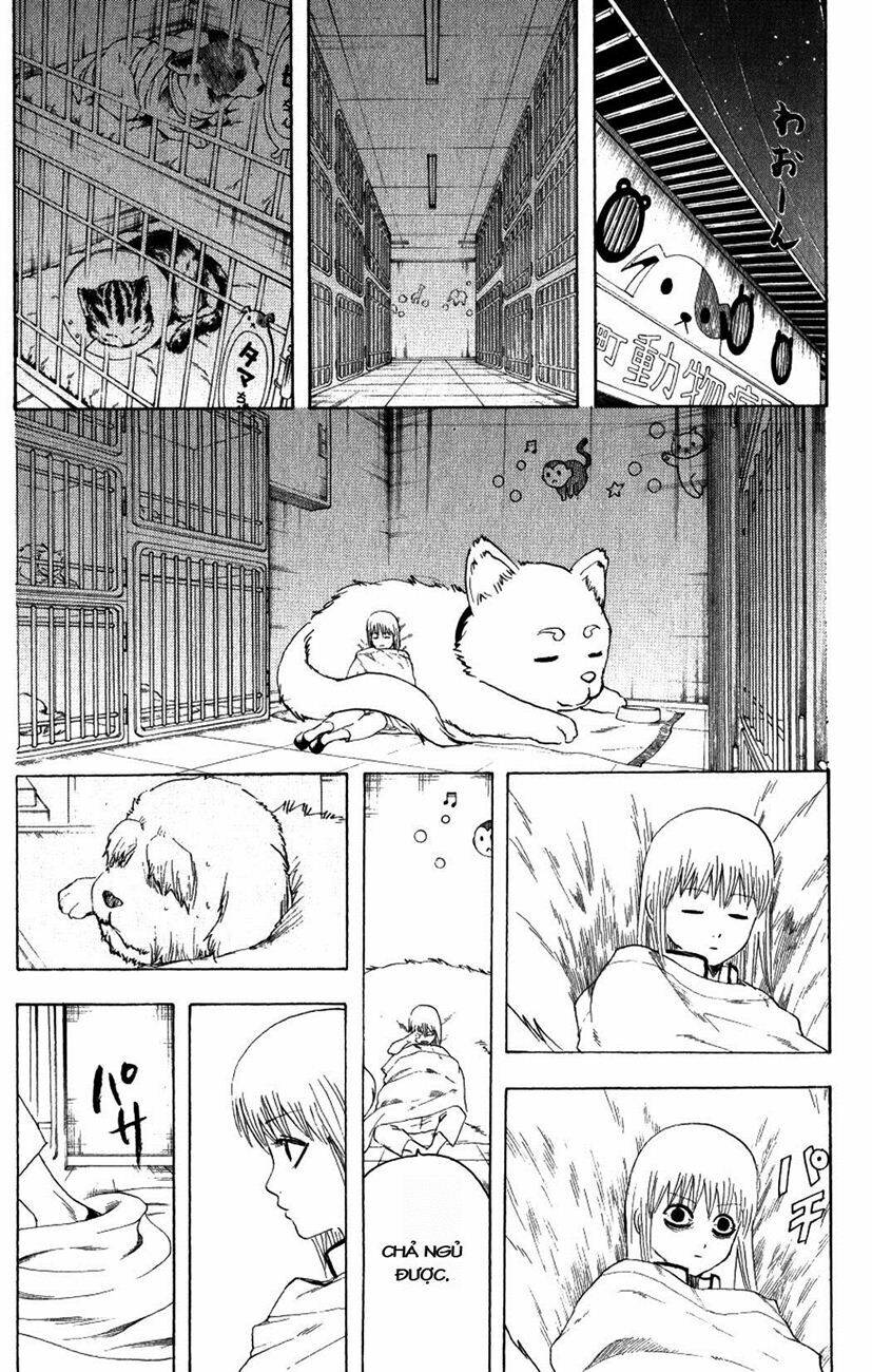 Gintama – Linh Hồn Bạc Chapter 207 - Trang 2