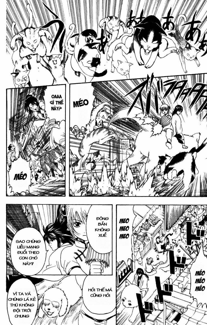 Gintama – Linh Hồn Bạc Chapter 208 - Trang 2