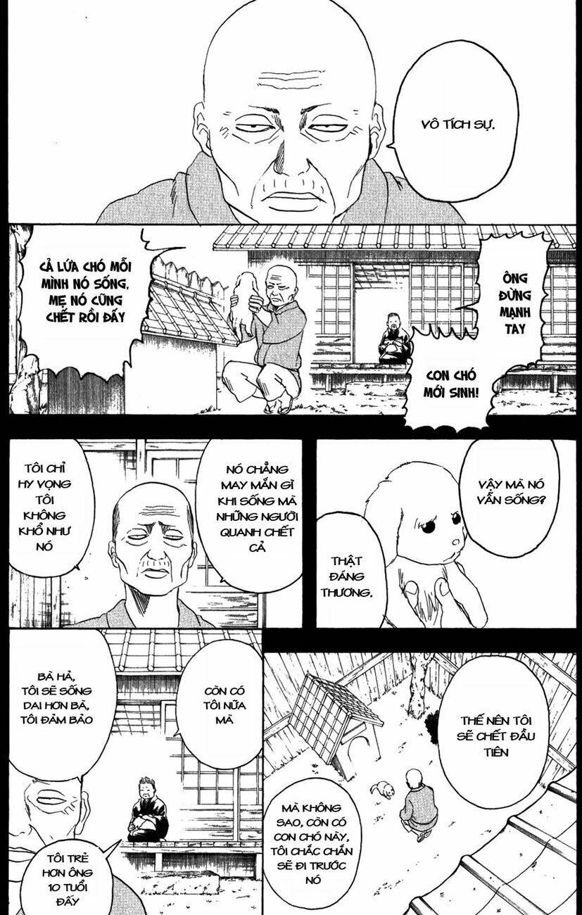 Gintama – Linh Hồn Bạc Chapter 209 - Trang 2