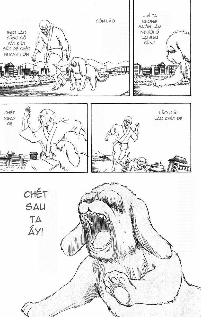 Gintama – Linh Hồn Bạc Chapter 209 - Trang 2