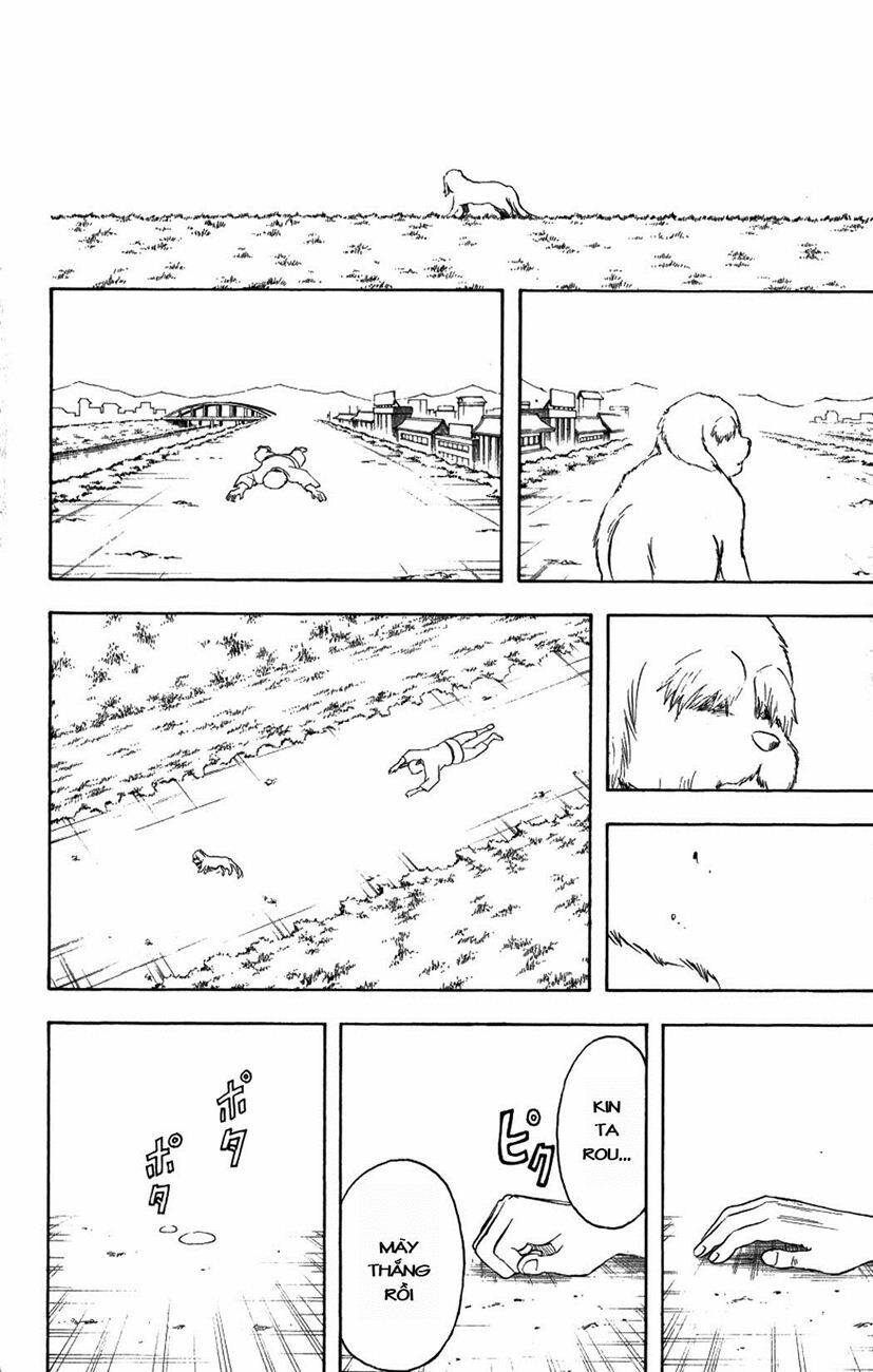 Gintama – Linh Hồn Bạc Chapter 209 - Trang 2