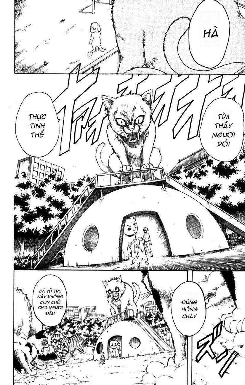 Gintama – Linh Hồn Bạc Chapter 209 - Trang 2