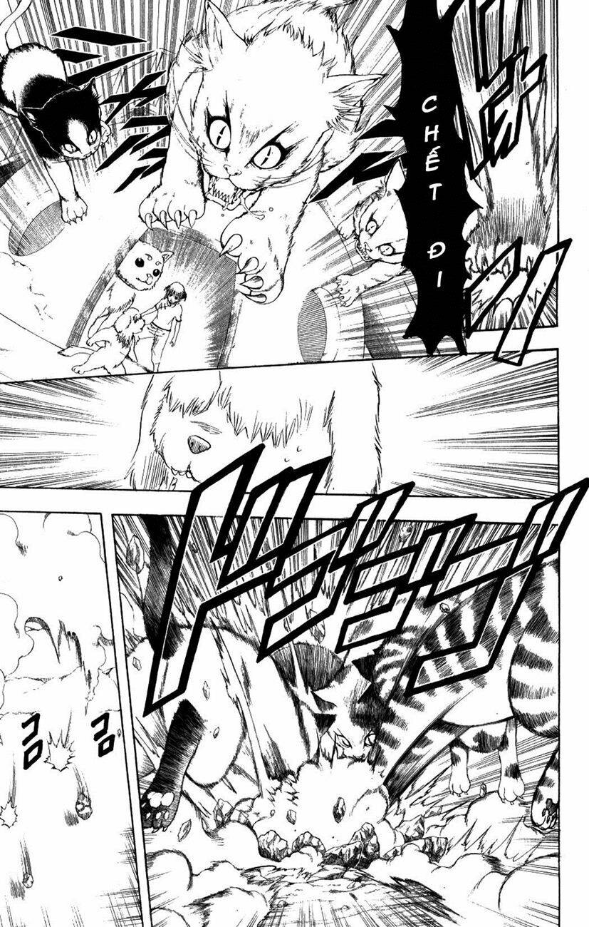 Gintama – Linh Hồn Bạc Chapter 209 - Trang 2