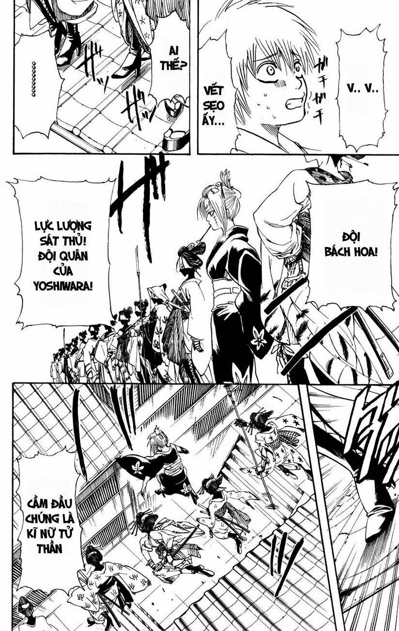Gintama – Linh Hồn Bạc Chapter 211 - Trang 2