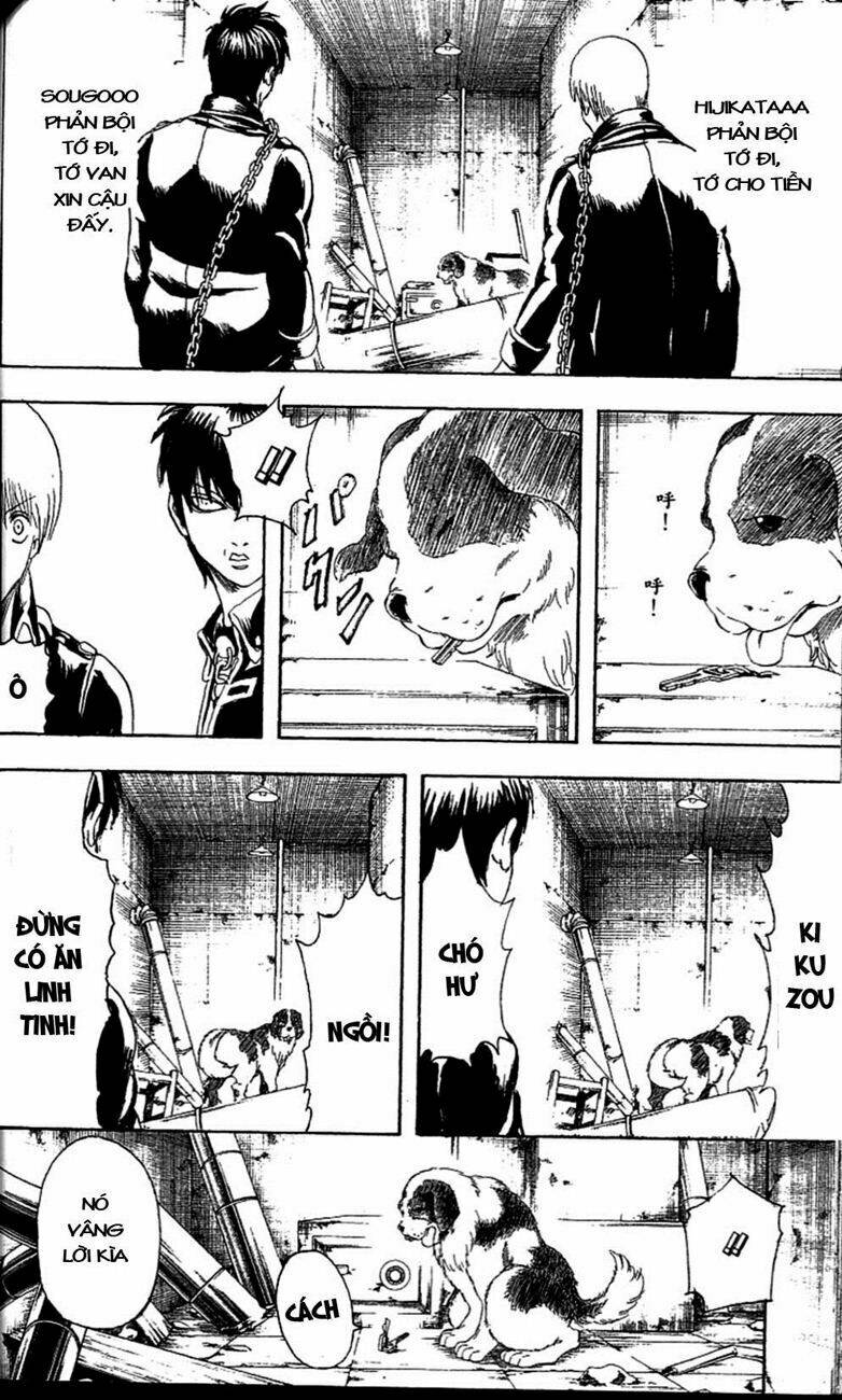 Gintama – Linh Hồn Bạc Chapter 234 - Trang 2