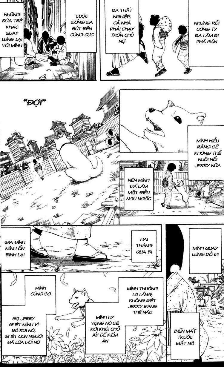 Gintama – Linh Hồn Bạc Chapter 237 - Trang 2