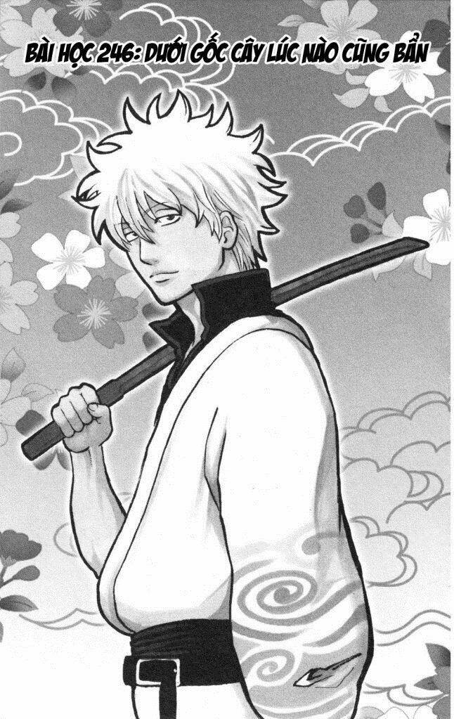 Gintama – Linh Hồn Bạc Chapter 246 - Trang 2