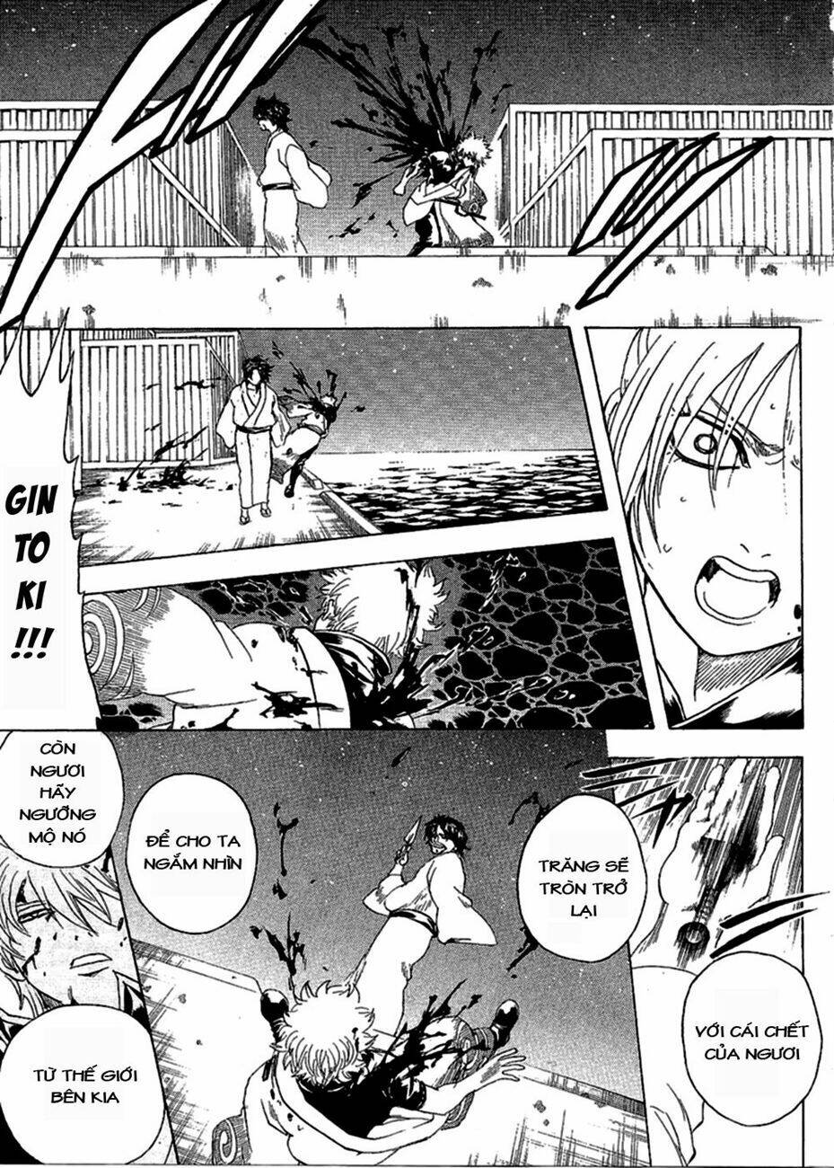 Gintama – Linh Hồn Bạc Chapter 256 - Trang 2