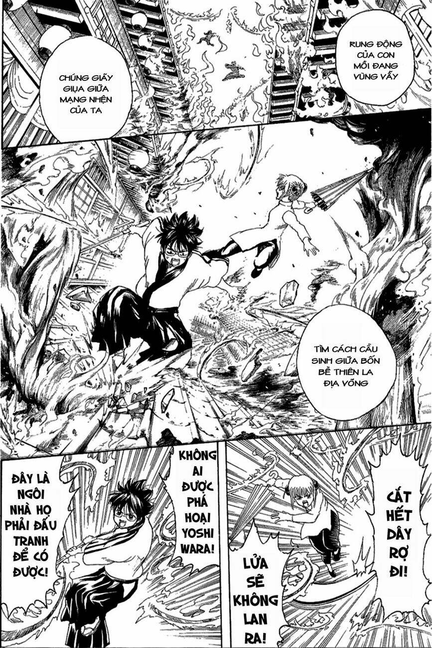 Gintama – Linh Hồn Bạc Chapter 258 - Trang 2