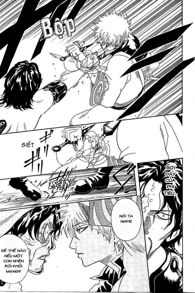 Gintama – Linh Hồn Bạc Chapter 259 - Trang 2