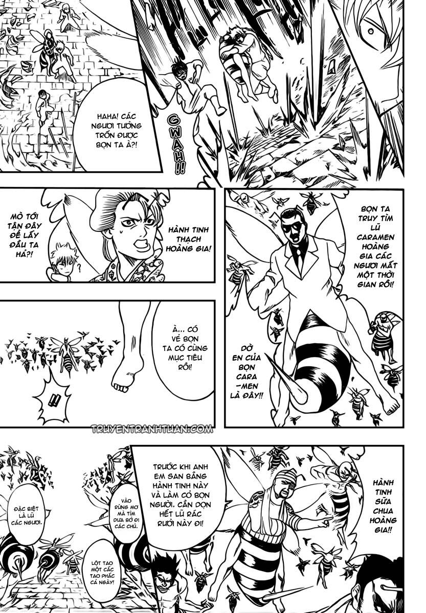 Gintama – Linh Hồn Bạc Chapter 269 - Trang 2