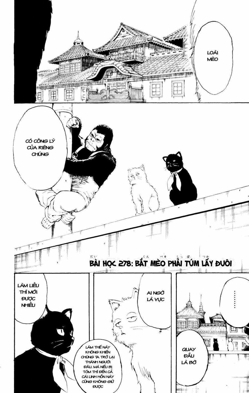 Gintama – Linh Hồn Bạc Chapter 278 - Trang 2