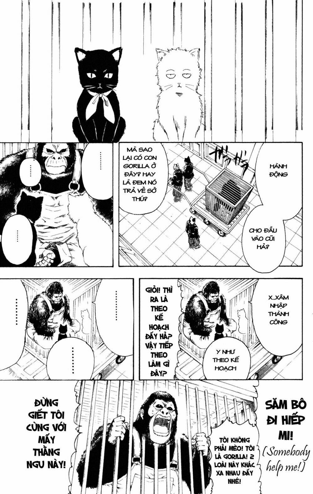 Gintama – Linh Hồn Bạc Chapter 278 - Trang 2
