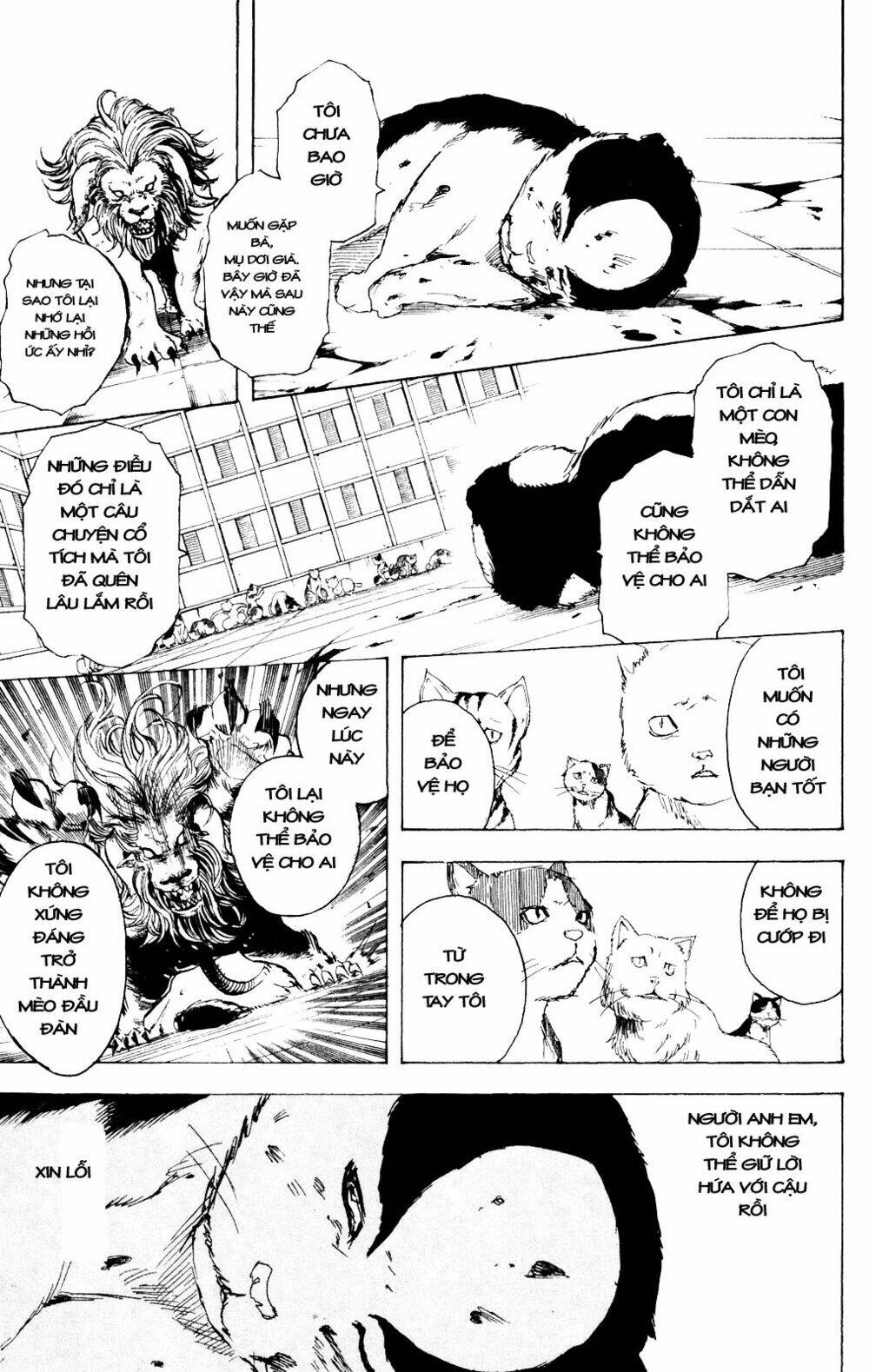 Gintama – Linh Hồn Bạc Chapter 279 - Trang 2