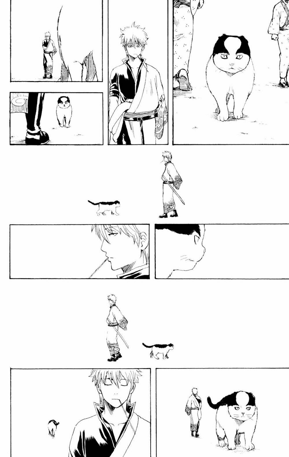Gintama – Linh Hồn Bạc Chapter 279 - Trang 2