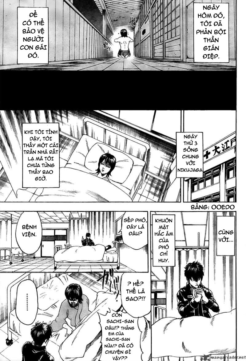 Gintama – Linh Hồn Bạc Chapter 293 - Trang 2