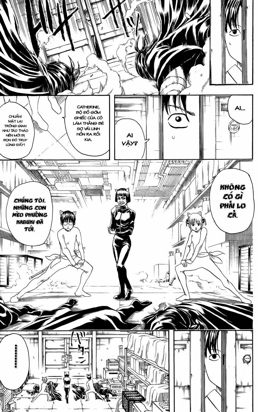 Gintama – Linh Hồn Bạc Chapter 307 - Trang 2