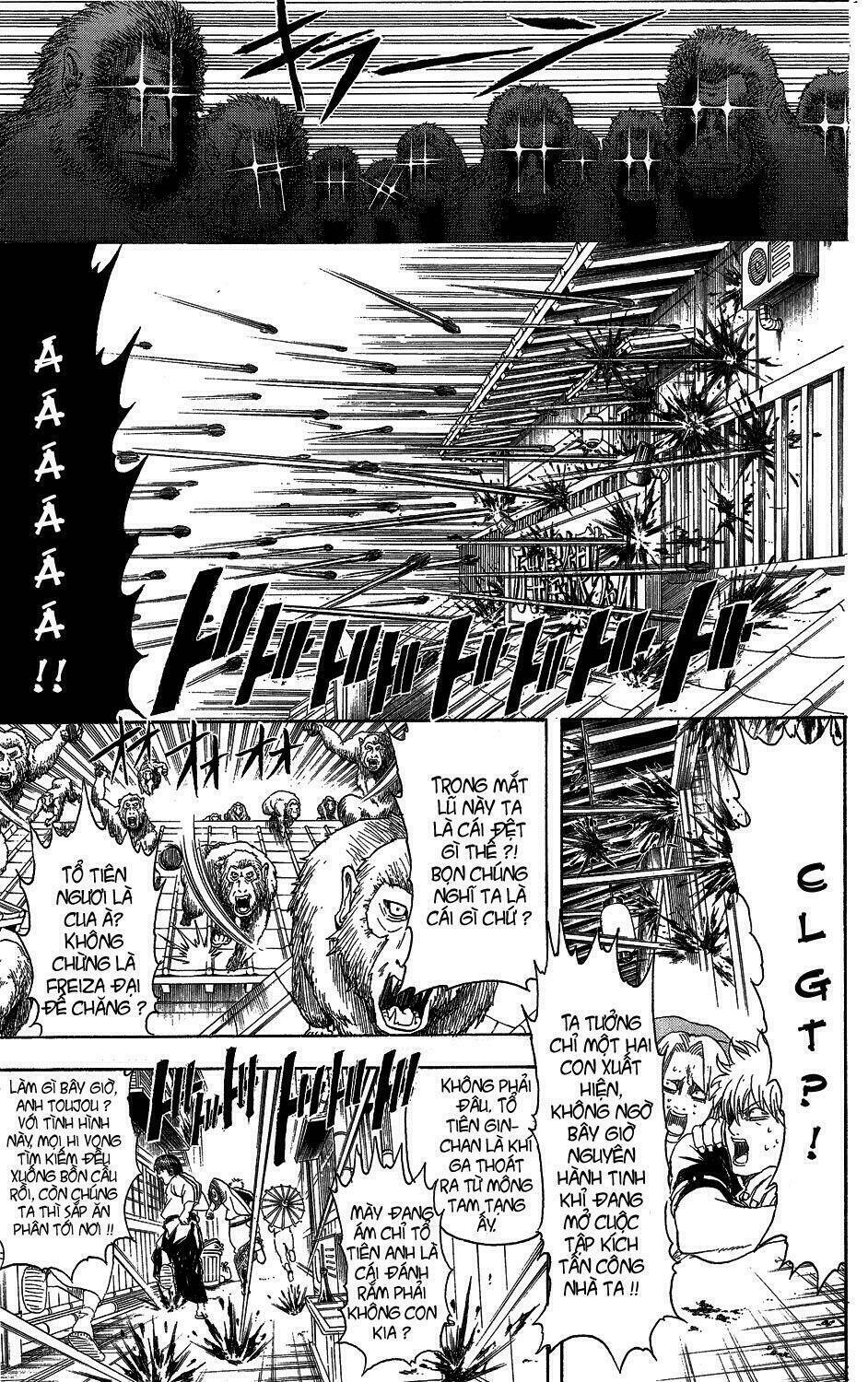 Gintama – Linh Hồn Bạc Chapter 315 - Trang 2