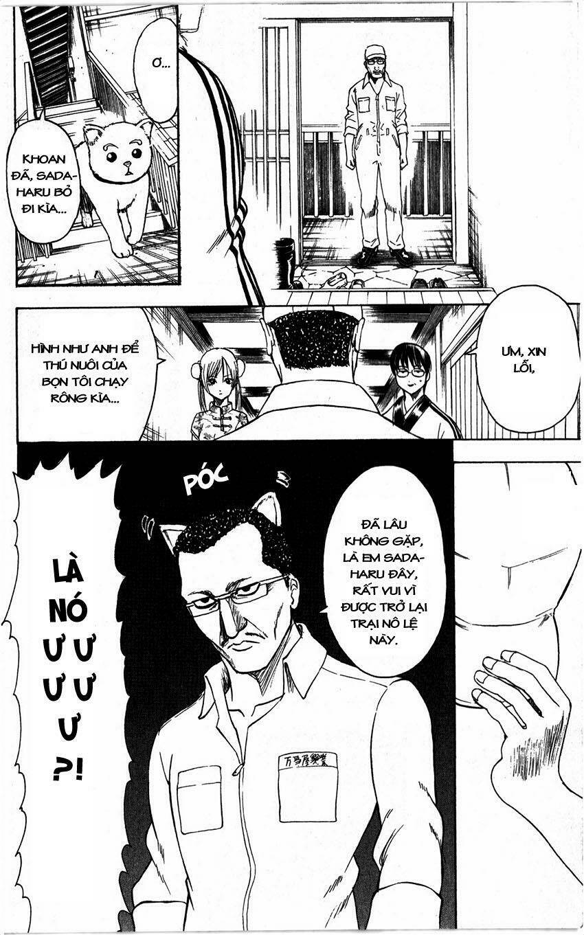 Gintama – Linh Hồn Bạc Chapter 324 - Trang 2