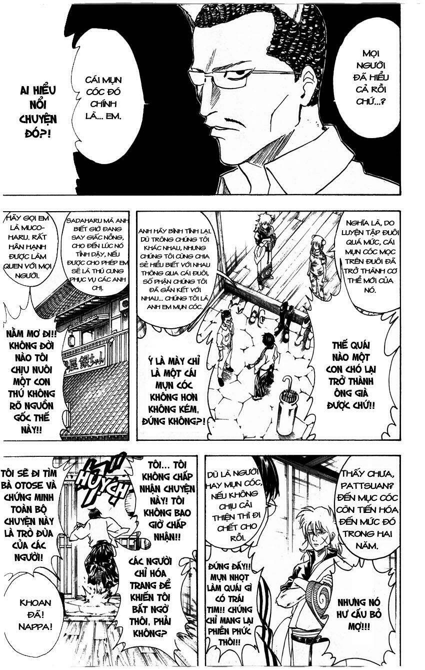 Gintama – Linh Hồn Bạc Chapter 324 - Trang 2