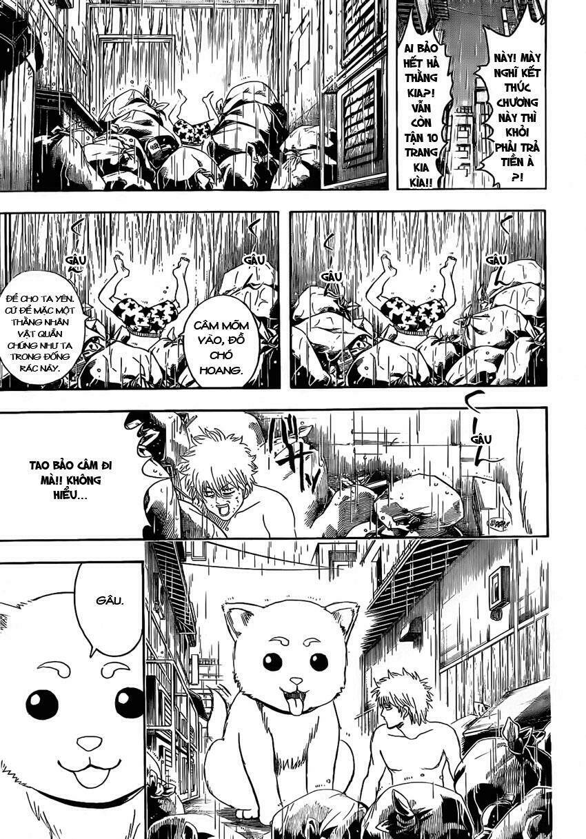 Gintama – Linh Hồn Bạc Chapter 373 - Trang 2