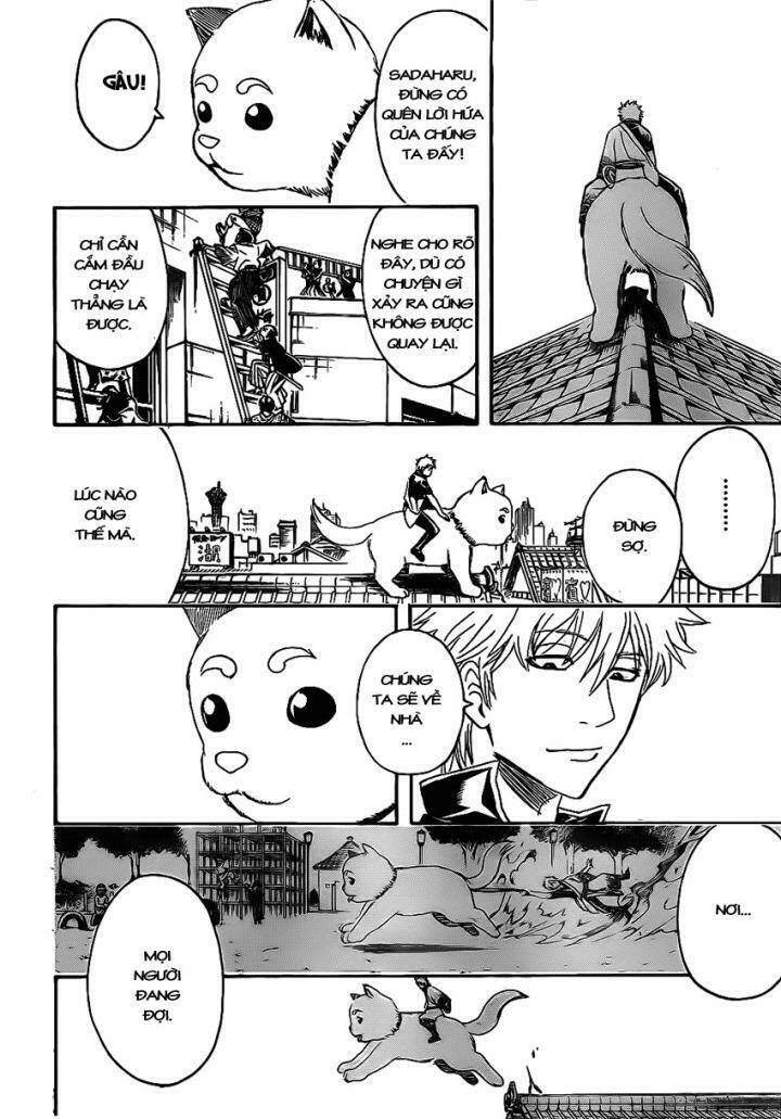 Gintama – Linh Hồn Bạc Chapter 376 - Trang 2