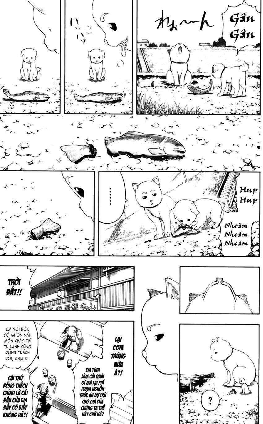 Gintama – Linh Hồn Bạc Chapter 401 - Trang 2