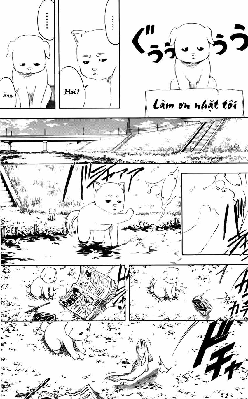 Gintama – Linh Hồn Bạc Chapter 401 - Trang 2