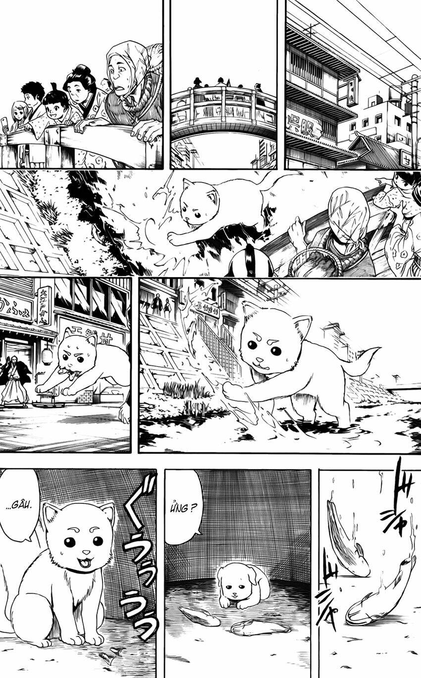 Gintama – Linh Hồn Bạc Chapter 402 - Trang 2