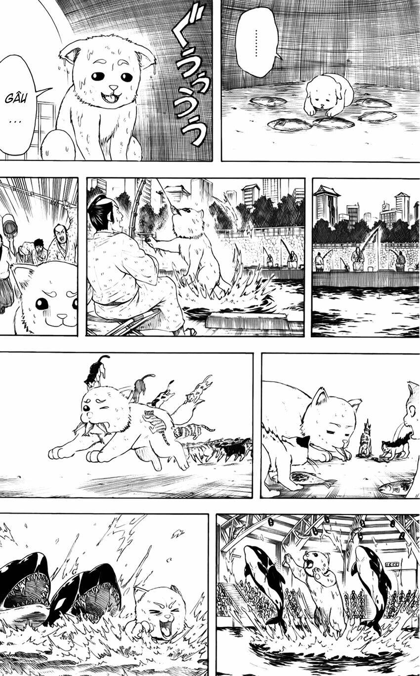 Gintama – Linh Hồn Bạc Chapter 402 - Trang 2