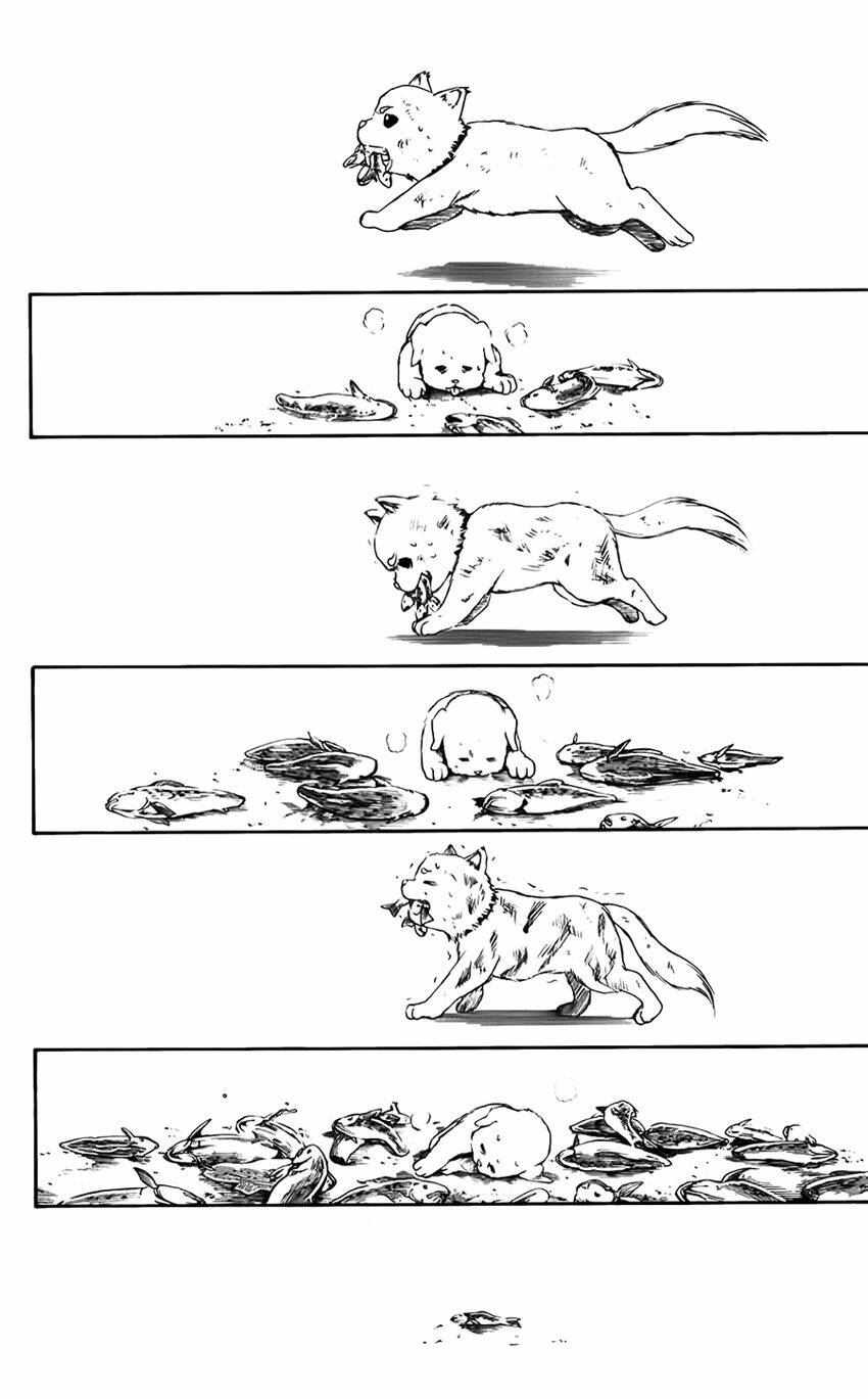 Gintama – Linh Hồn Bạc Chapter 402 - Trang 2