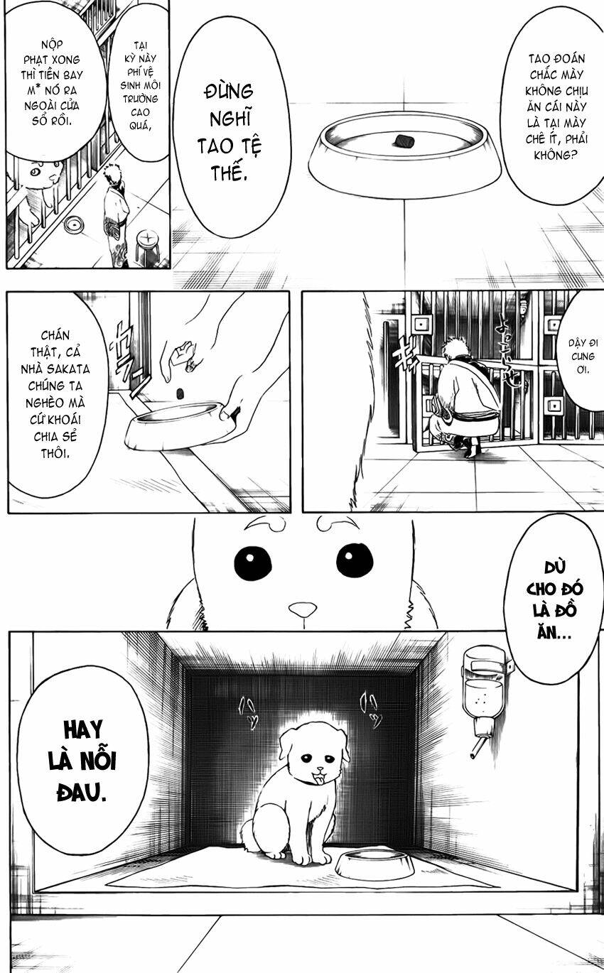 Gintama – Linh Hồn Bạc Chapter 402 - Trang 2
