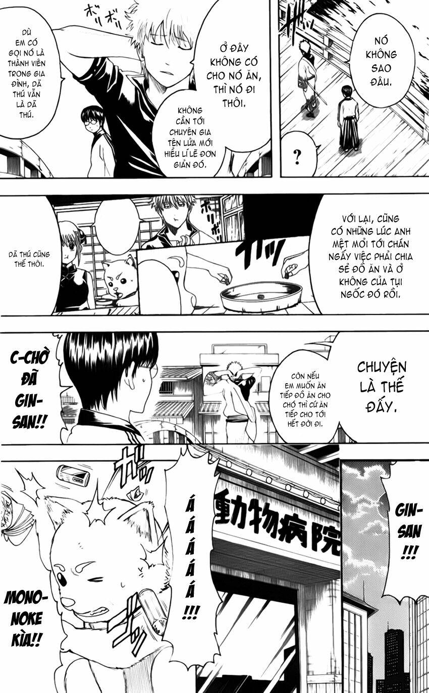 Gintama – Linh Hồn Bạc Chapter 402 - Trang 2