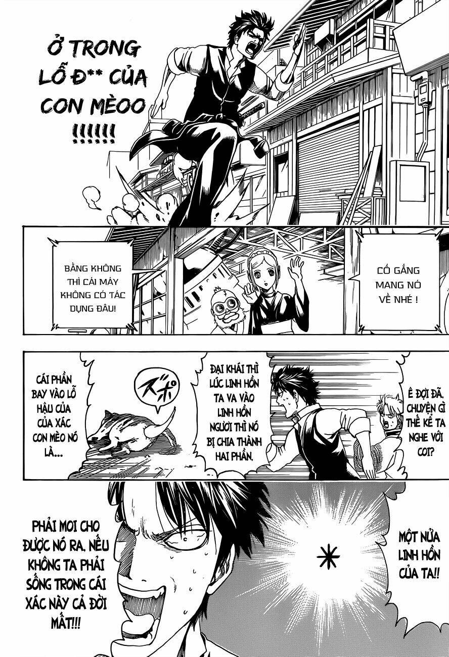 Gintama – Linh Hồn Bạc Chapter 472 - Trang 2