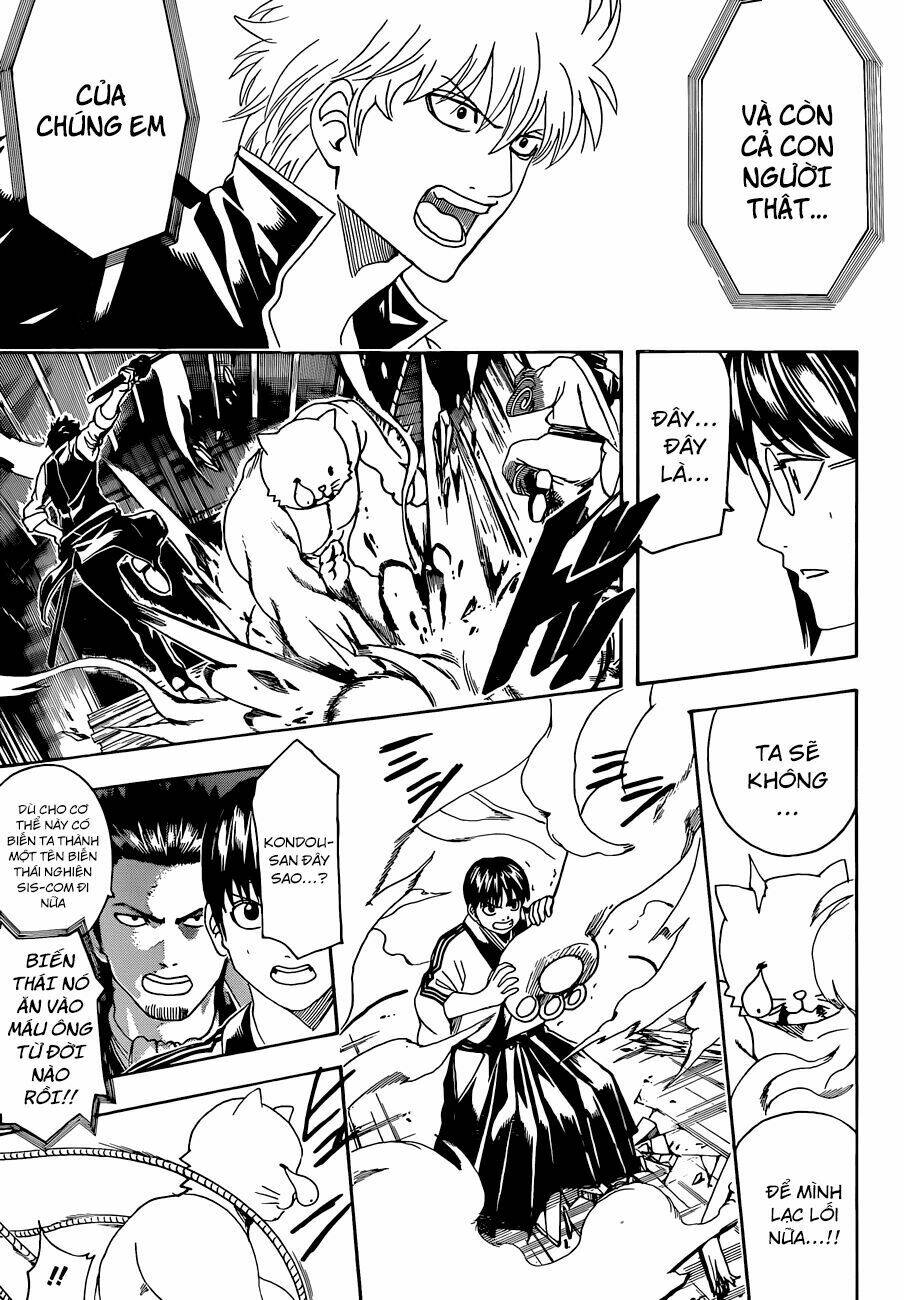 Gintama – Linh Hồn Bạc Chapter 476 - Trang 2
