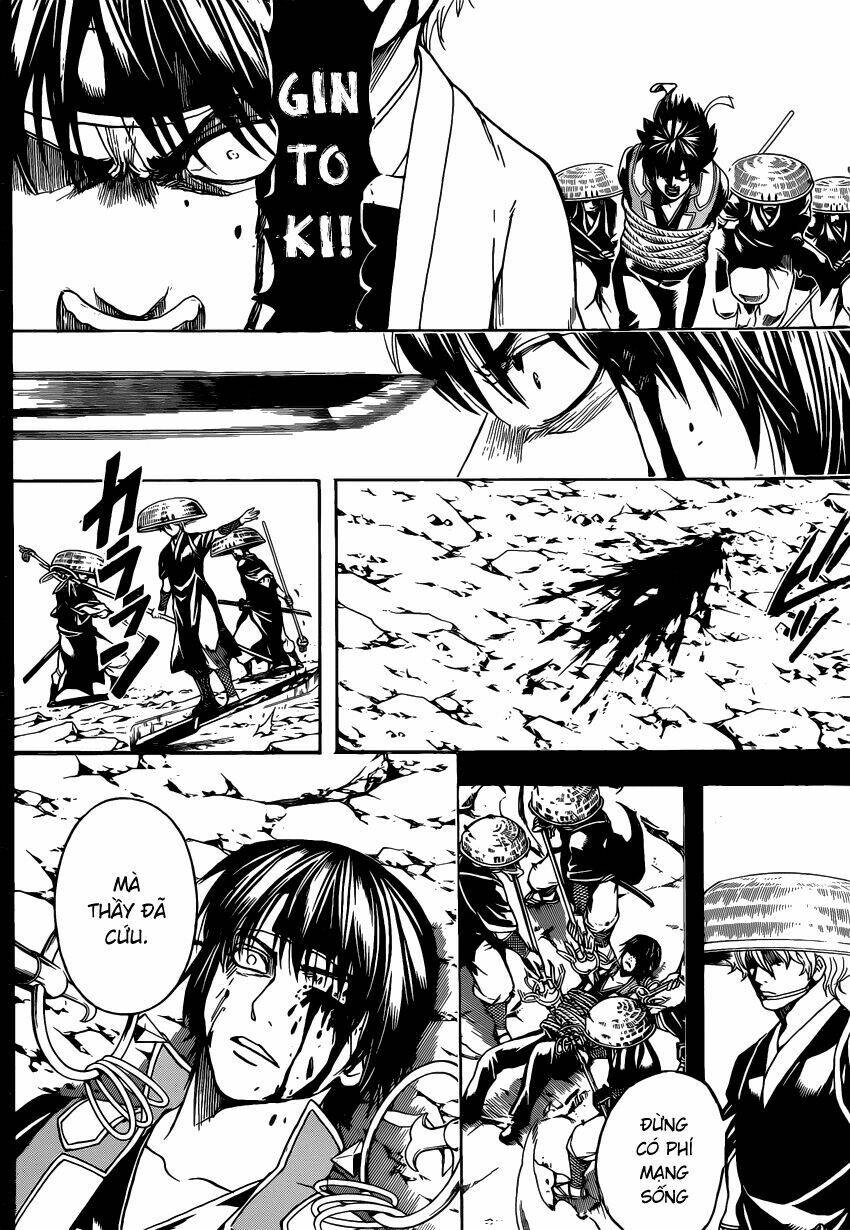 Gintama – Linh Hồn Bạc Chapter 520 - Trang 2