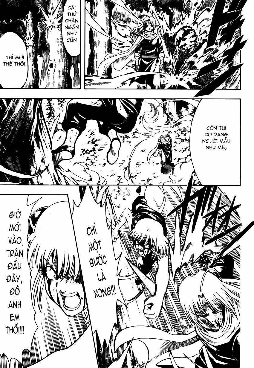 Gintama – Linh Hồn Bạc Chapter 521 - Trang 2