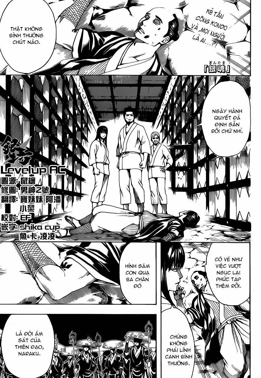 Gintama – Linh Hồn Bạc Chapter 531 - Trang 2